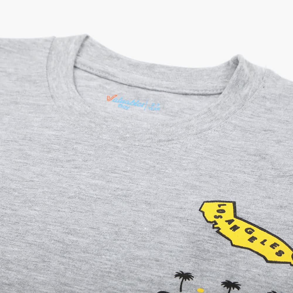 Boys Printed Half Sleeves T-Shirt - Grey, Boys T-Shirts, Chase Value, Chase Value