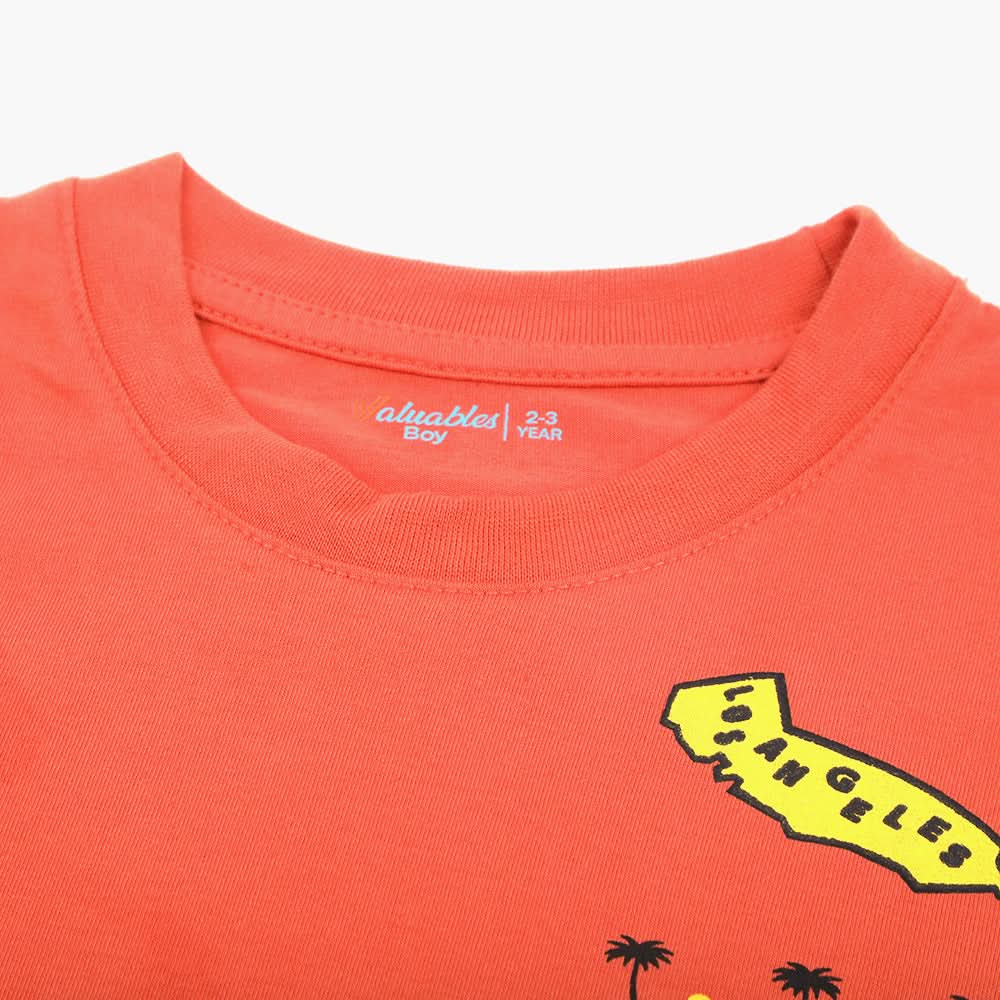 Boys Printed Half Sleeves T-Shirt - Rust, Boys T-Shirts, Chase Value, Chase Value