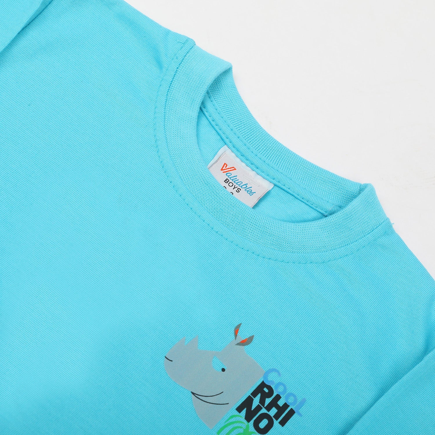 Boys Full Sleeves T-Shirt - Cyan, Boys T-Shirts, Chase Value, Chase Value