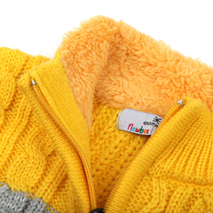 Eminent Newborn Boys Sweater - Yellow