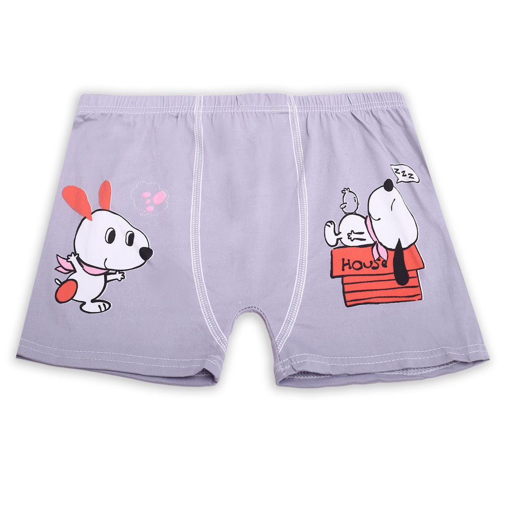Boys Charatcter Boxer, Boys Underwear, Chase Value, Chase Value
