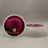 Sweety Box 2 Pcs - White, Storage Boxes, Chase Value, Chase Value