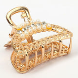 Women's Fancy Catcher - Golden, Women Hair & Head Jewellery, Chase Value, Chase Value