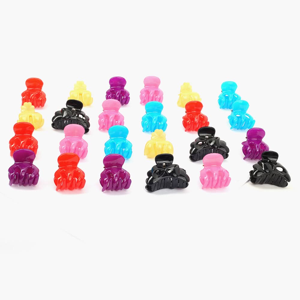 Women's Catcher 24Pcs - Multi Color, Women Hair & Head Jewellery, Chase Value, Chase Value