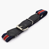 Boys Stretchable Belt - Multi Color, Boys Belts & Gallace, Chase Value, Chase Value