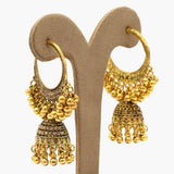 Women's Jhumki - Golden, Women Earrings & Tops, Chase Value, Chase Value