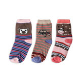 Boys Socks Pack Of 3 - Multi Color, Boys Socks, Chase Value, Chase Value
