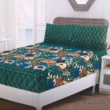 Fitted Bed Sheet With 2 Pillow - Multi Color, Single Size Bed Sheet, Valuable, Chase Value