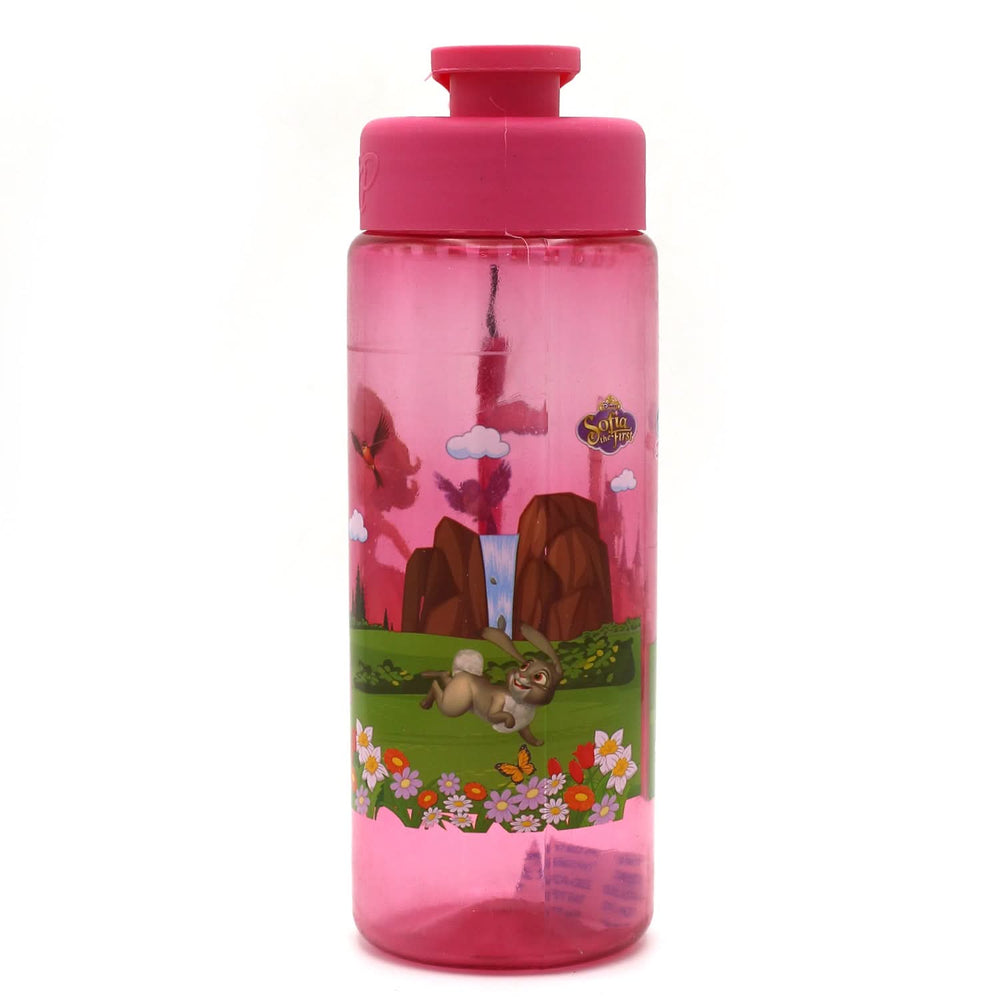 Cartoon Character Water Bottle For Kids- 600ML, Tiffin Boxes & Bottles, Chase Value, Chase Value