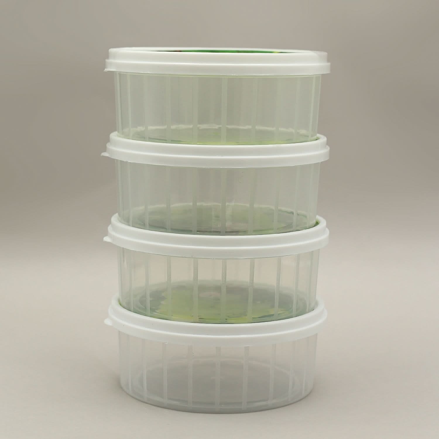 Sweety Box 4 Pcs  - White, Storage Boxes, Chase Value, Chase Value