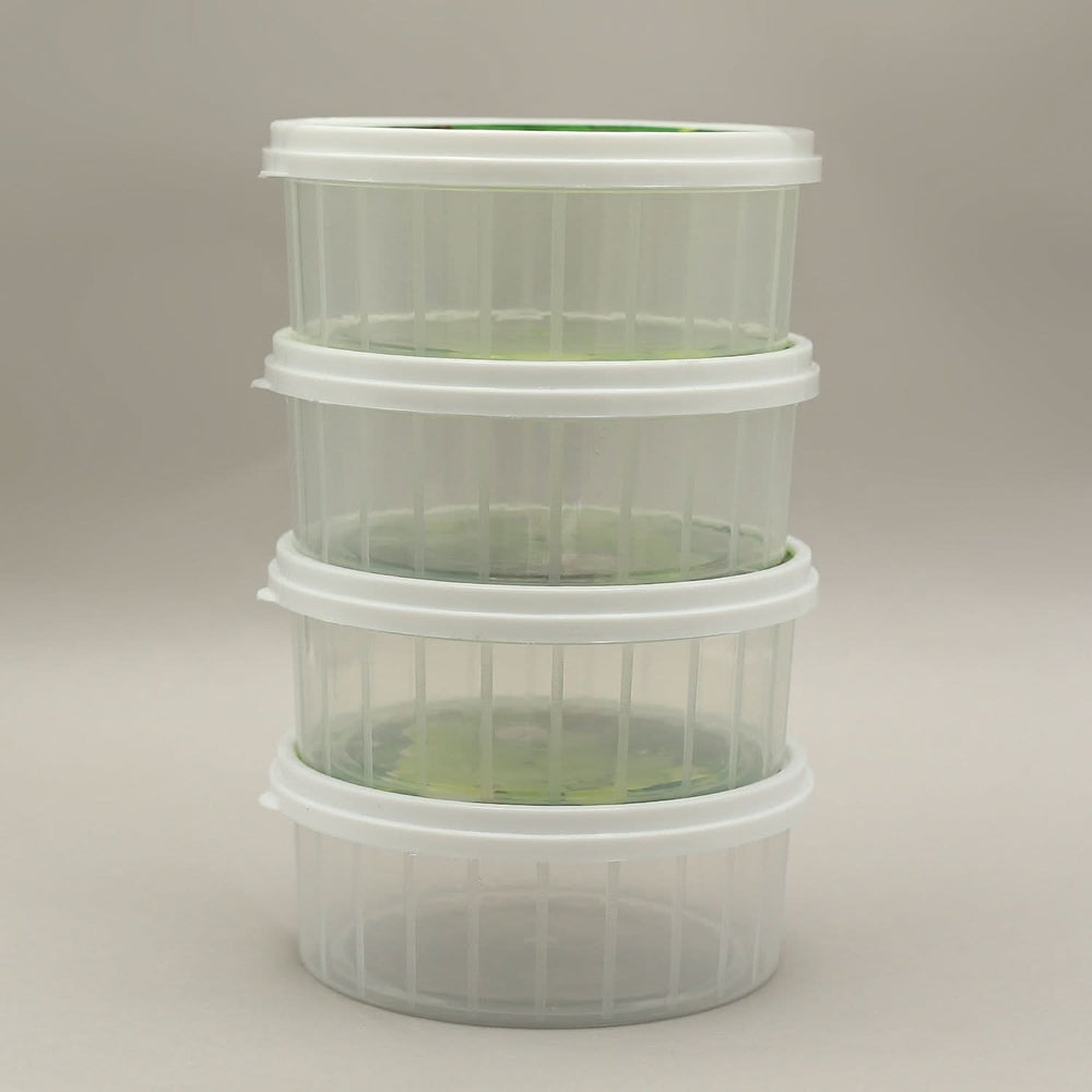 Sweety Box 4 Pcs  - White, Storage Boxes, Chase Value, Chase Value