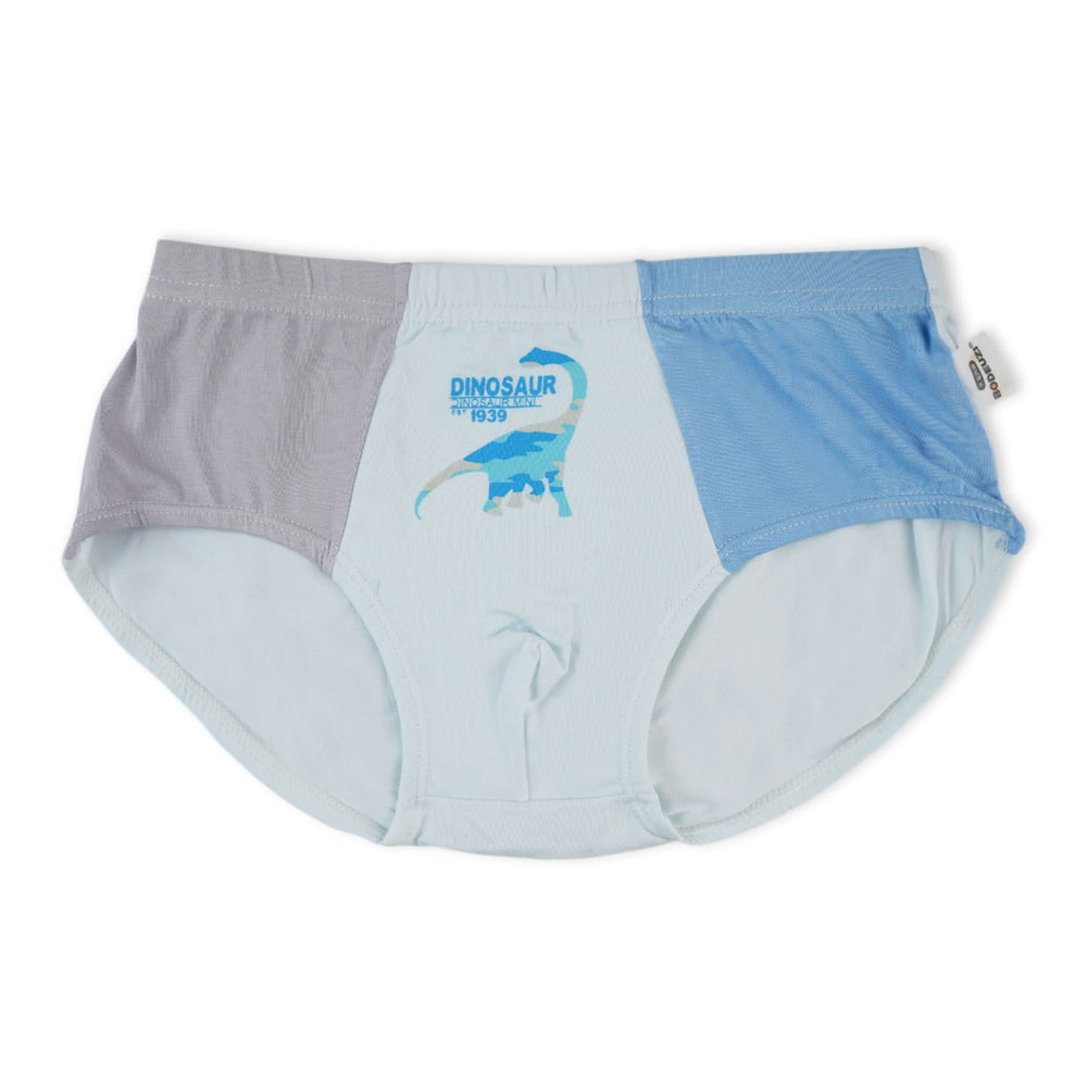 Boys Underwear - Multi Color, Boys Underwear, Chase Value, Chase Value