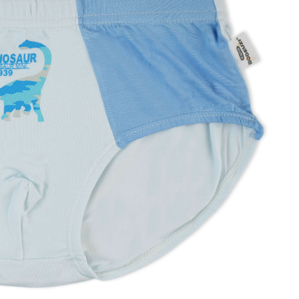 Boys Underwear - Multi Color, Boys Underwear, Chase Value, Chase Value