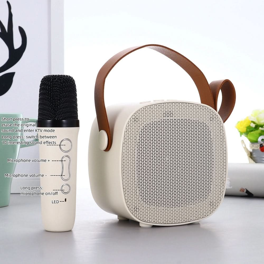 Karaoke Wireless Portable SD01 Bluetooth Speaker, Bluetooth Speakers, Chase Value, Chase Value