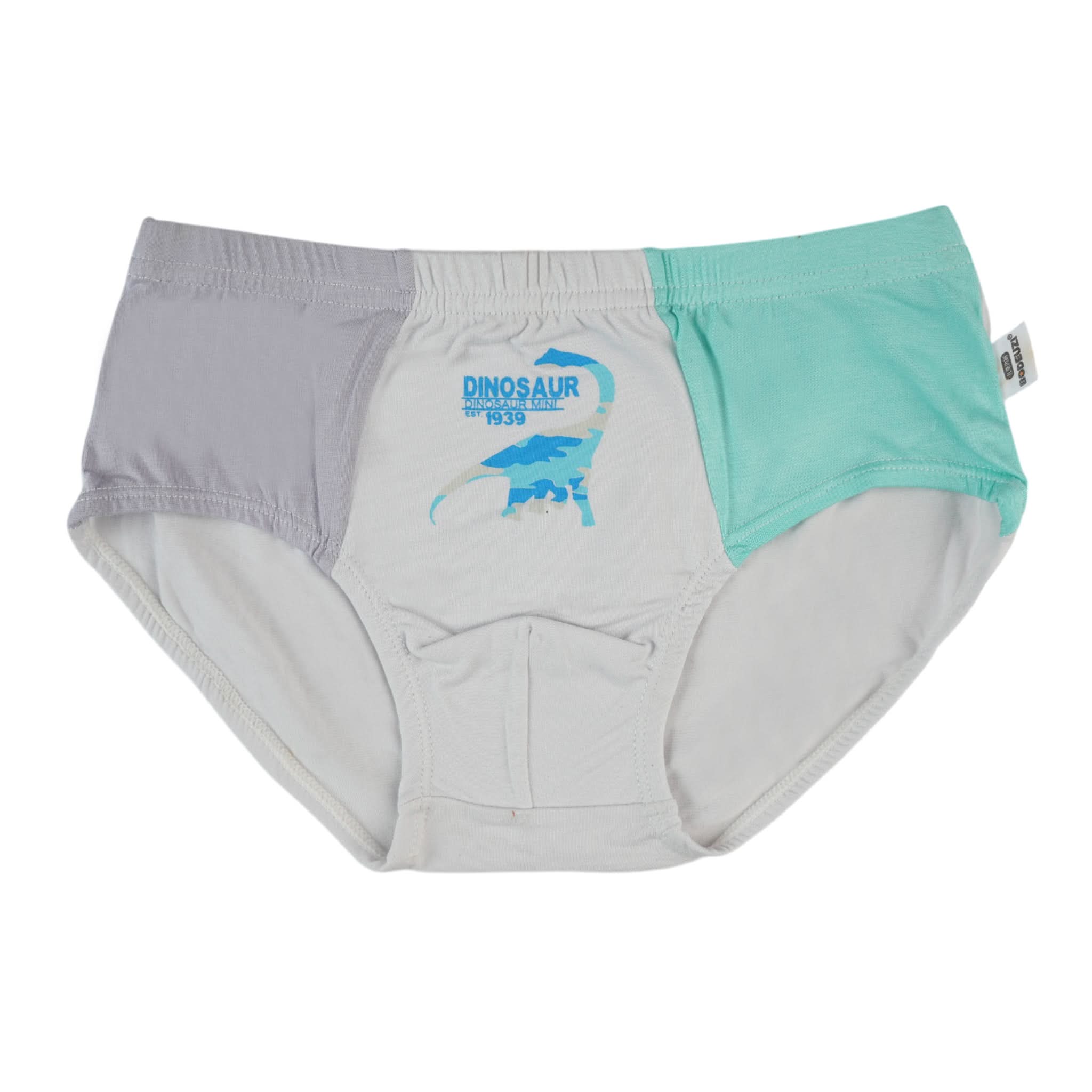 Boys Underwear - Multi Color, Boys Underwear, Chase Value, Chase Value