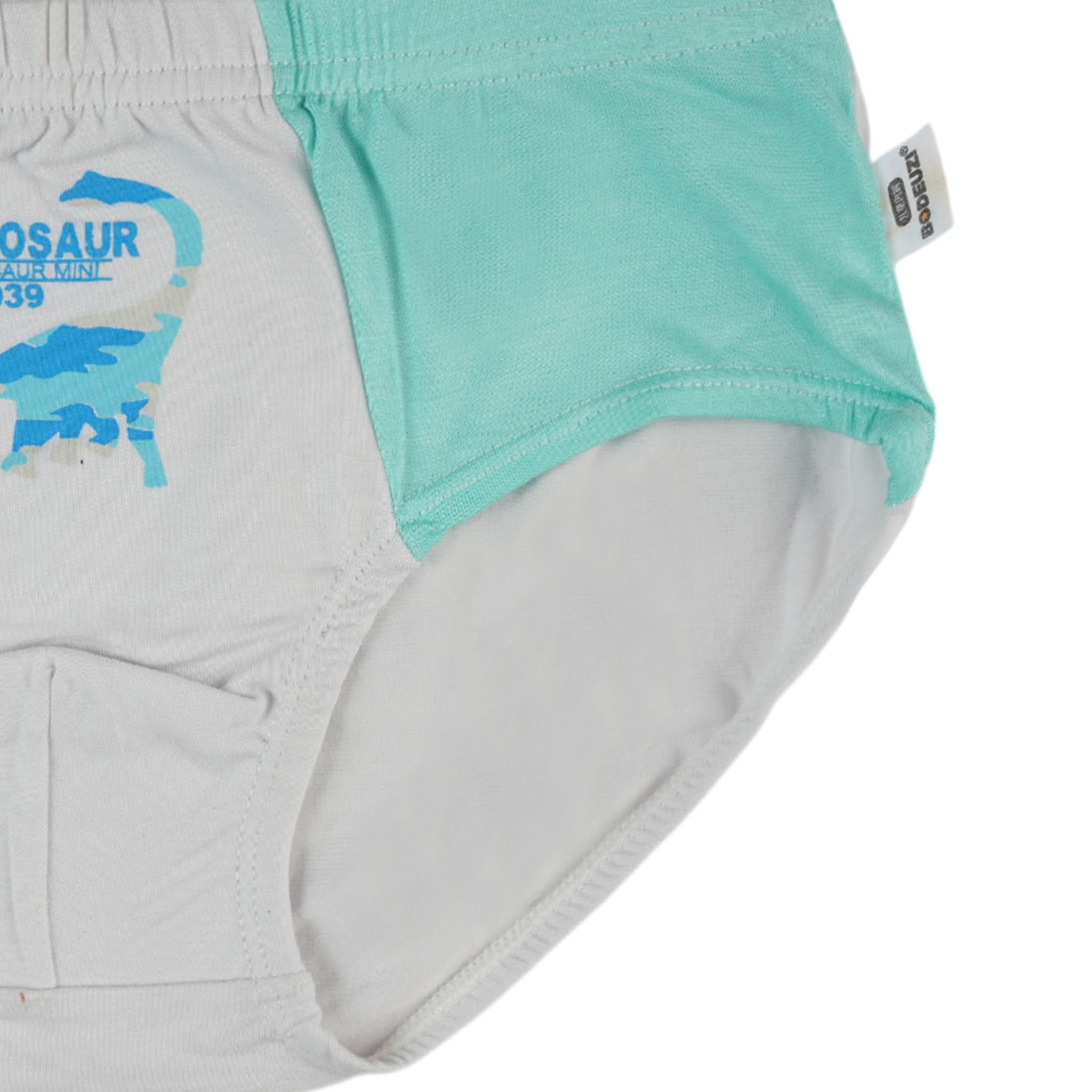 Boys Underwear - Multi Color, Boys Underwear, Chase Value, Chase Value
