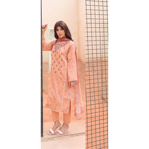 Rashid Samar Printed Embroidered Lawn Unstitched 3Pcs Suit - 8158