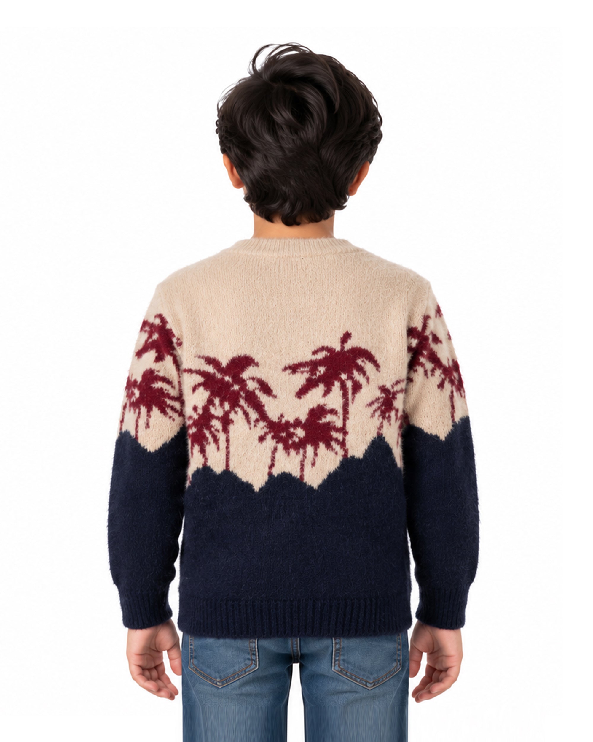 Boys Sweater, Boys Sweaters, Chase Value, Chase Value