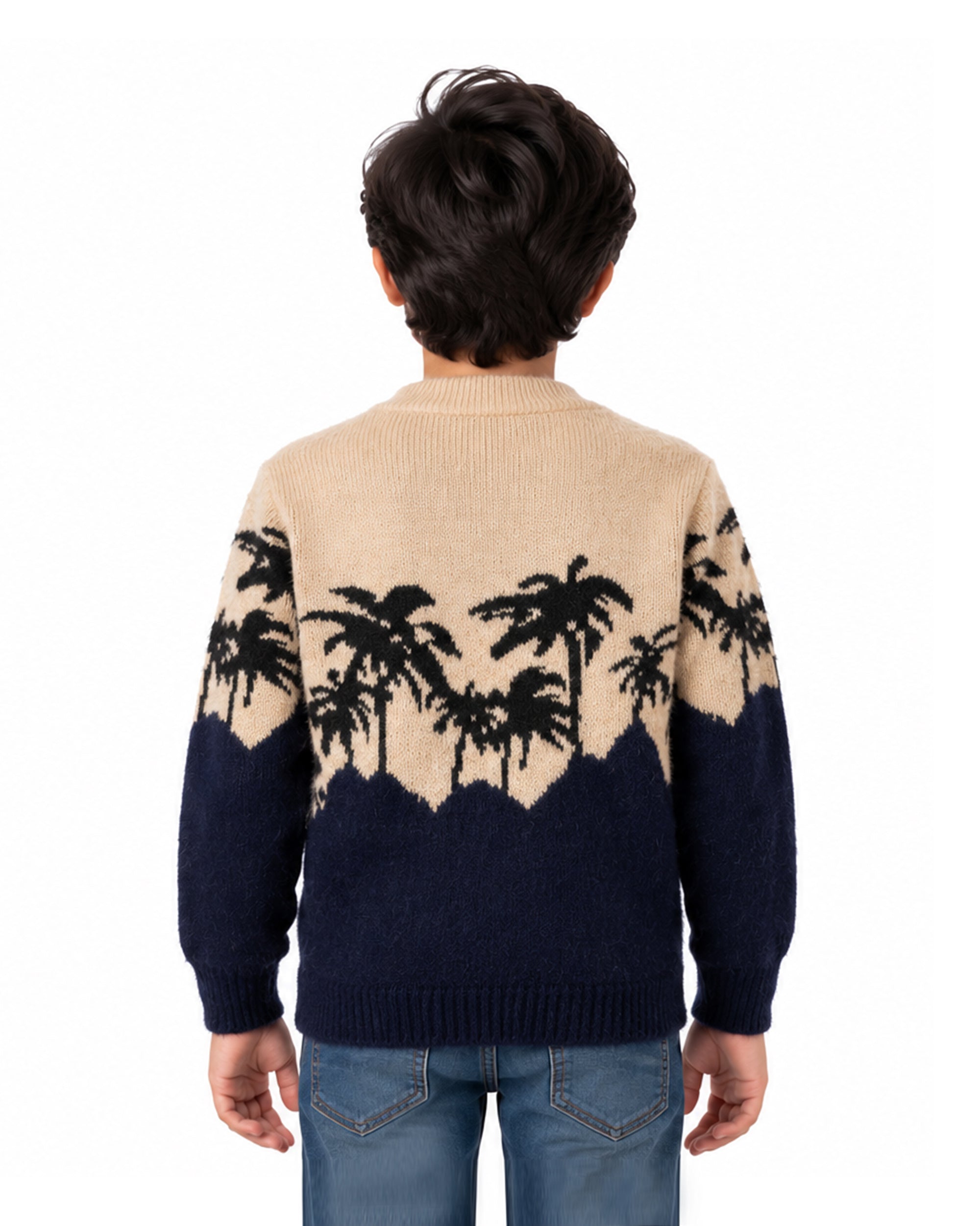 Boys Sweater, Boys Sweaters, Chase Value, Chase Value