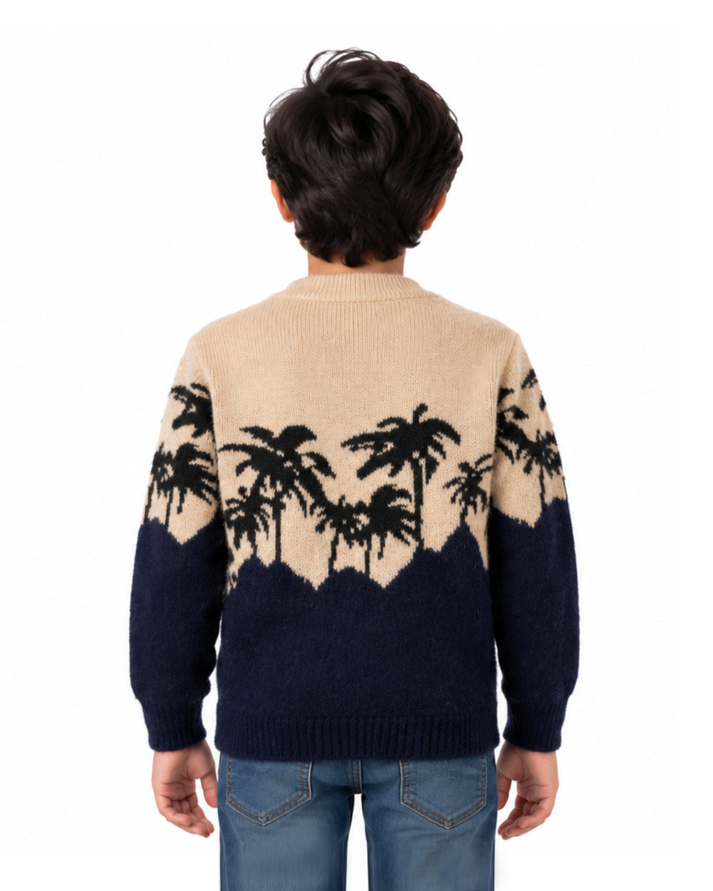 Boys Sweater, Boys Sweaters, Chase Value, Chase Value