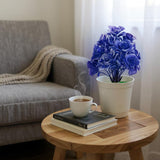 Flower Pot, Decoration, Chase Value, Chase Value