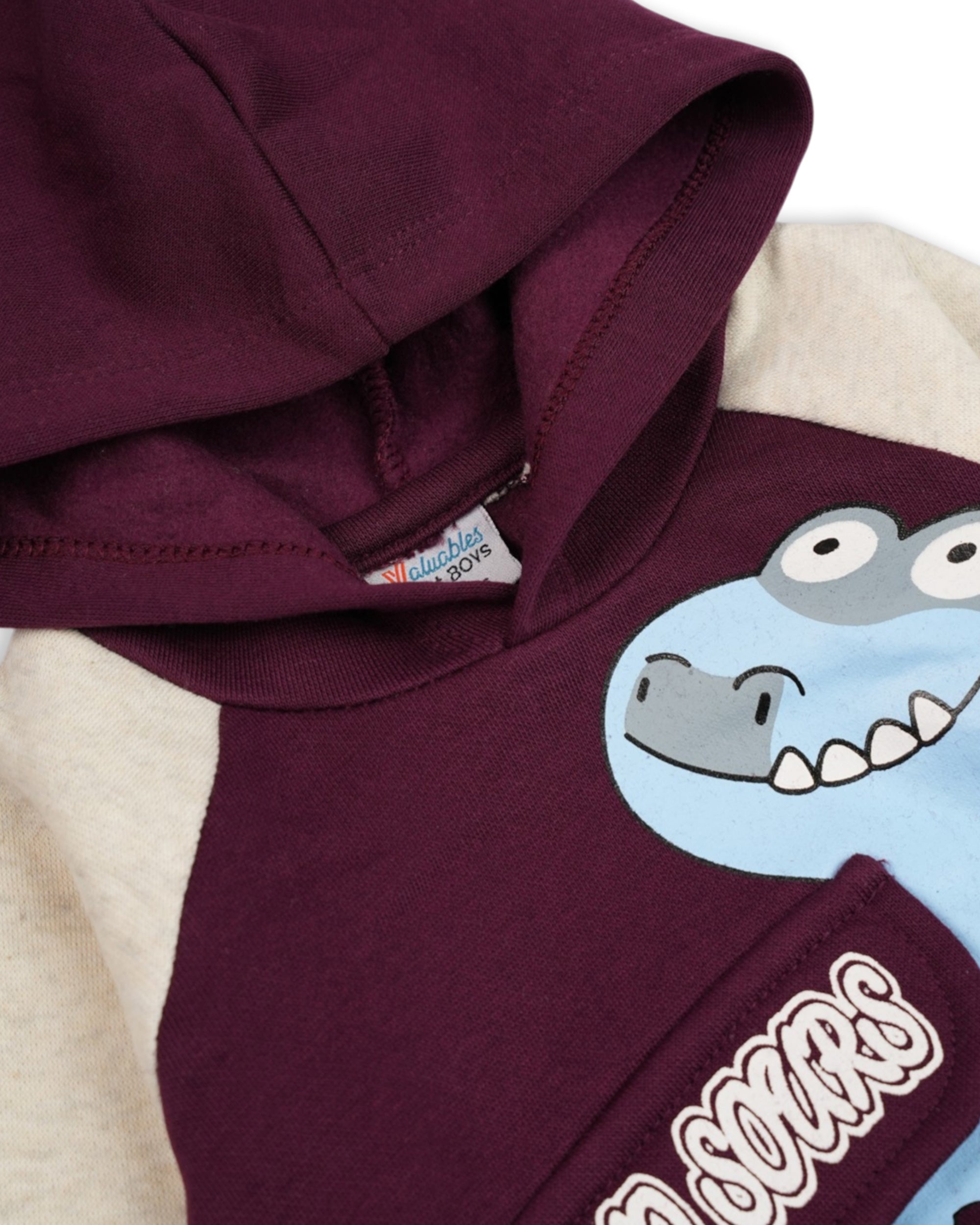 Valuables Newborn Boys Hooded Suit