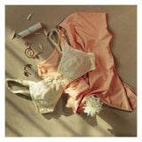 Be-Belle Bra Jullia Javena - Vanilla, Women Bras, Be-Belle, Chase Value