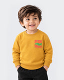 Eminent Boys Knitted Sweatshirt
