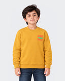 Eminent Boys Knitted Sweatshirt