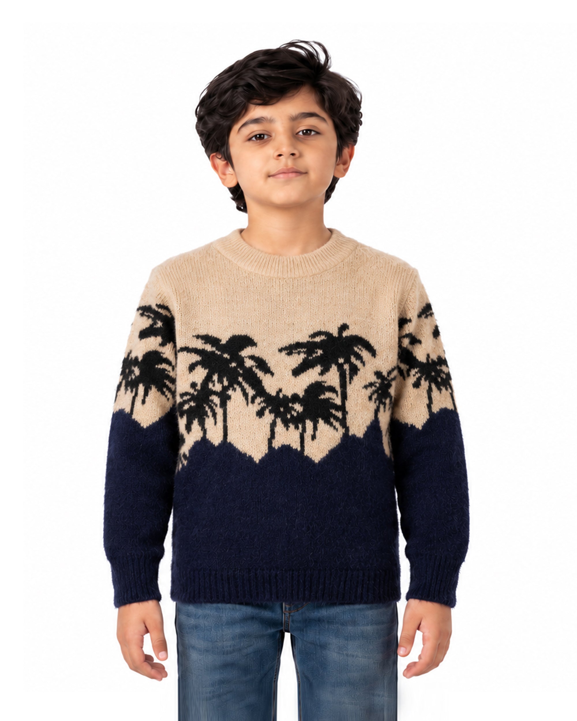 Boys Sweater, Boys Sweaters, Chase Value, Chase Value