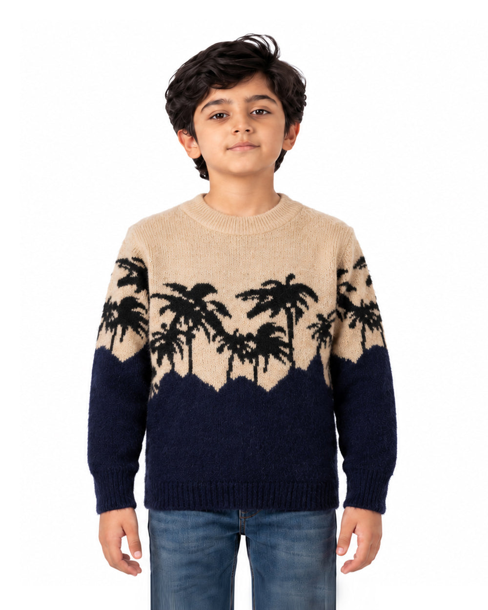 Boys Sweater, Boys Sweaters, Chase Value, Chase Value