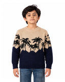 Boys Sweater, Boys Sweaters, Chase Value, Chase Value