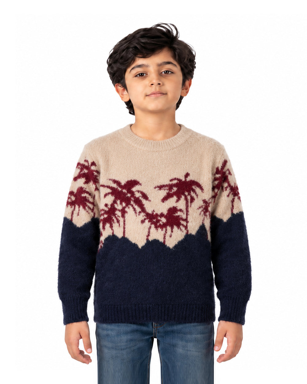 Boys Sweater, Boys Sweaters, Chase Value, Chase Value