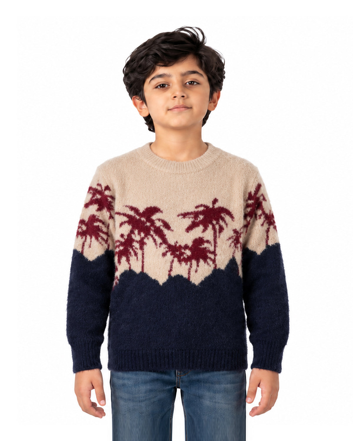 Boys Sweater, Boys Sweaters, Chase Value, Chase Value