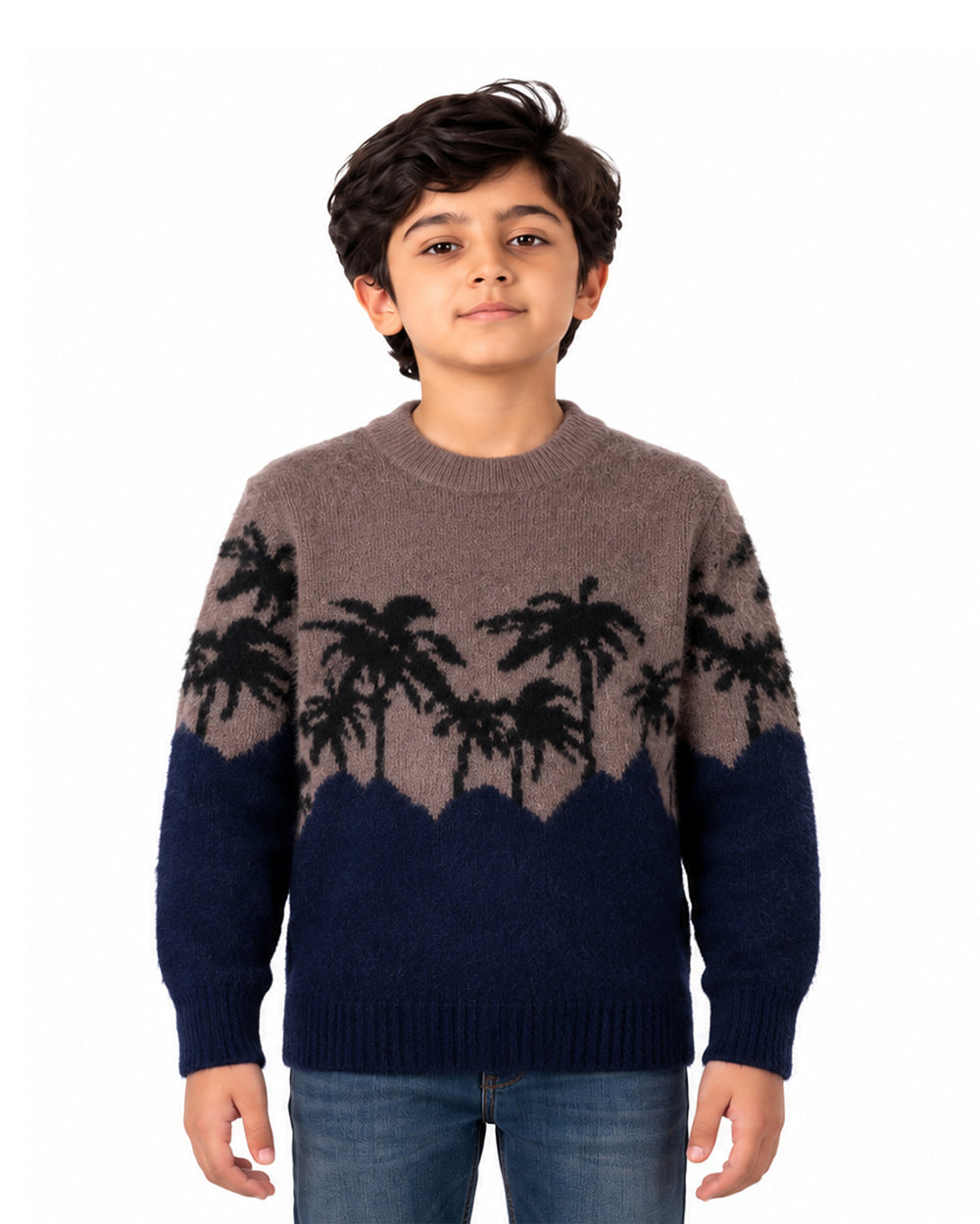 Boys Sweater, Boys Sweaters, Chase Value, Chase Value