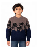 Boys Sweater, Boys Sweaters, Chase Value, Chase Value
