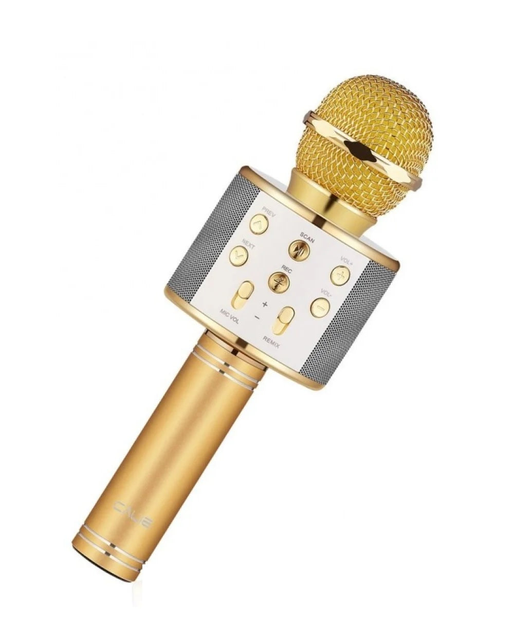Hand Mic