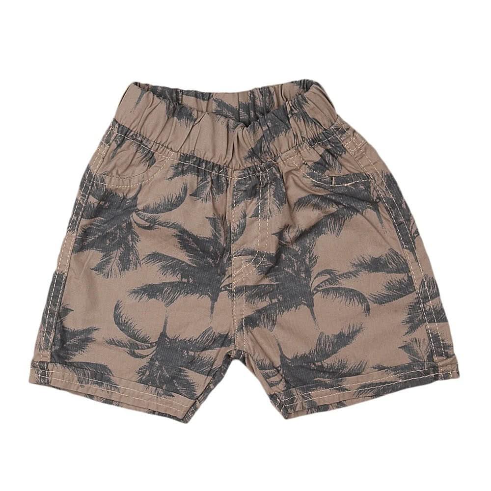 Newborn Boys Short - Brown - Coffee - test-store-for-chase-value