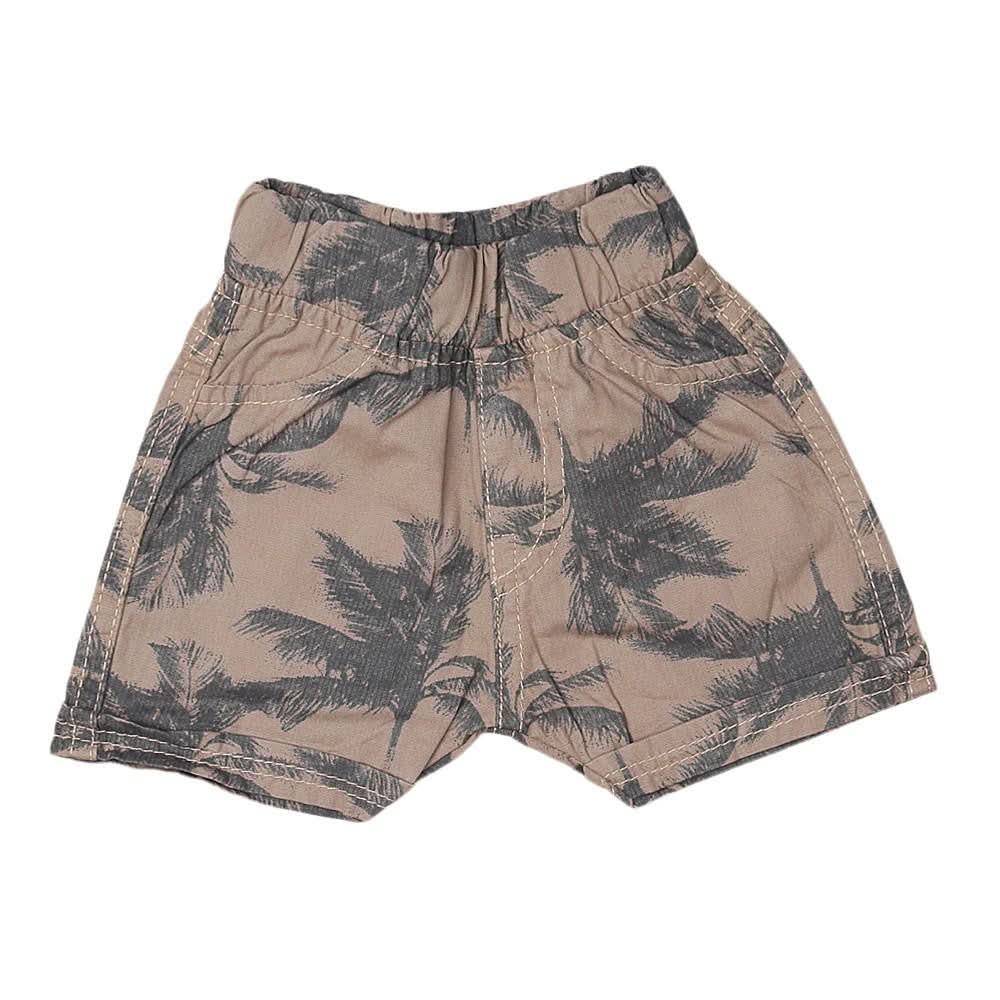 Newborn Boys Short - Brown - Coffee - test-store-for-chase-value