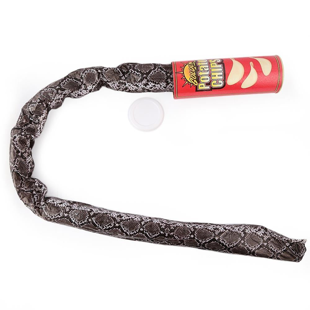 Magic Potato Chip Can - test-store-for-chase-value