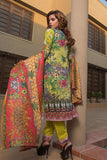 Rana Arts Khaddar Embroidered Suit With Shawl - AY-01-A - test-store-for-chase-value