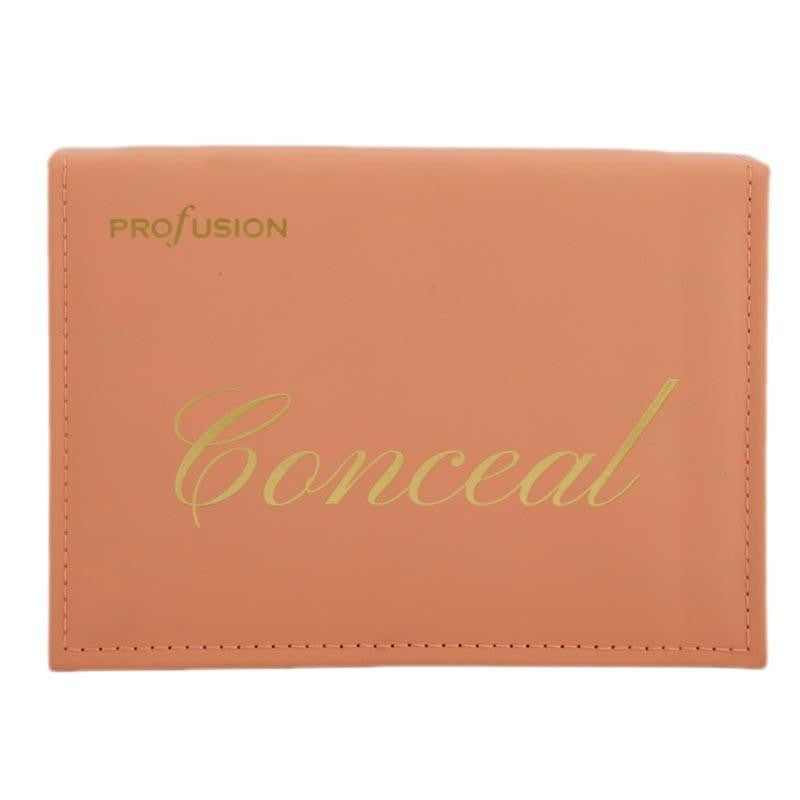 Profusion Conceal & Contour Kit - test-store-for-chase-value