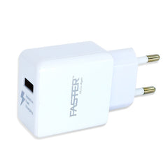Faster Charger FAC 900 (Micro), Home & Lifestyle, Mobile Charger, Faster, Chase Value