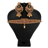 Polki Choker Jewellery Set - Multi - test-store-for-chase-value
