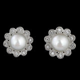 Women's Fancy Ear Tops - Silver - test-store-for-chase-value