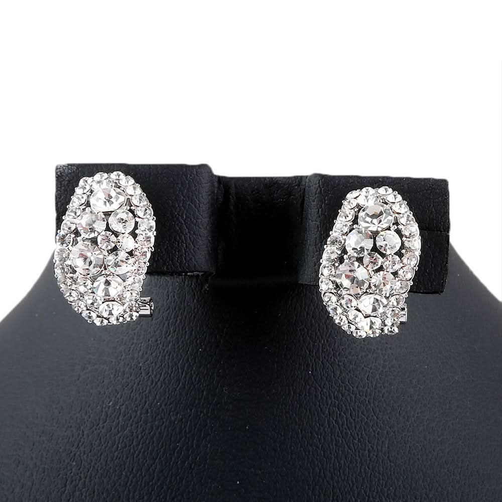 Women's Fancy Earrings - test-store-for-chase-value