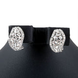 Women's Fancy Earrings - test-store-for-chase-value