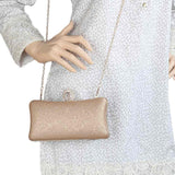 Women's Fancy Clutch (2013) - Champagne, Women, Clutches, Chase Value, Chase Value