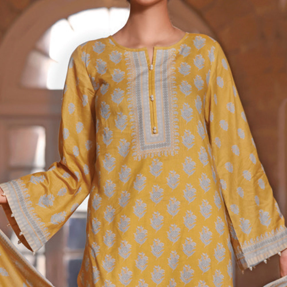 VS Daman Printed Cambric unstitched 3pc Suit V-2, Women, 3Pcs Shalwar Suit, VS Textiles, Chase Value