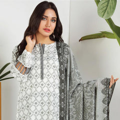 Lakhany Safina Febron Printed Lawn 3 Pcs Un-Stitched Suit - 2B, Women, 3Pcs Shalwar Suit, LSM Textiles, Chase Value